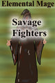 Book cover of: Savage Fighters: Element Mage. By: Joseph Roche