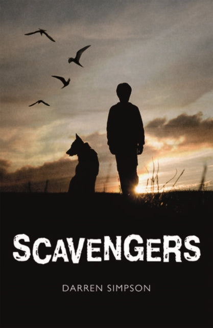 Book cover of: Rollercoasters: Scavengers. By: Darren Simpson