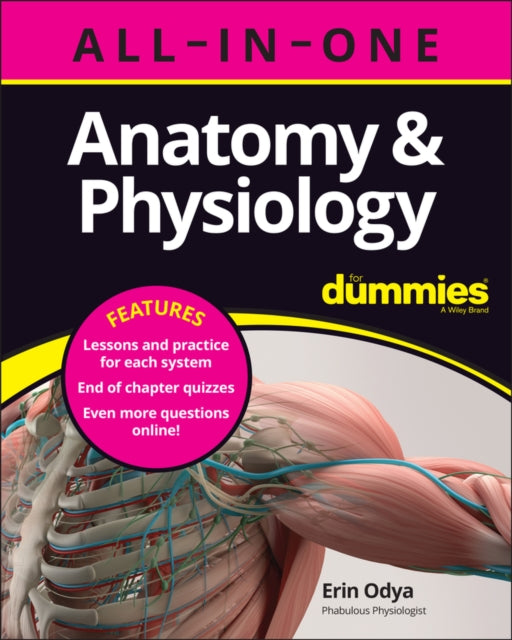 Book cover of: Anatomy & Physiology All-in-One For Dummies (+ Chapter Quizzes Online). By: Erin Odya