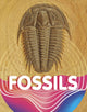 Book cover of: Fossils. By: Keli Sipperley