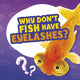 Book cover of: Why Don't Fish Have Eyelashes?. By: Nancy Dickmann