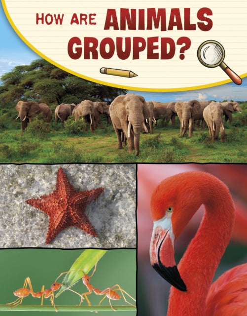 Book cover of: How Are Animals Grouped?. By: Lisa M. Bolt Simons