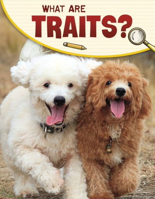 Book cover of: What Are Traits?. By: Emily Sohn
