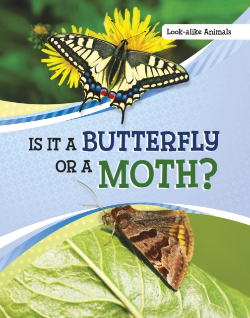 Book cover of: Is It a Butterfly or a Moth?. By: Susan B. Katz