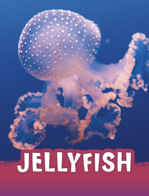 Book cover of: Jellyfish. By: Jaclyn Jaycox