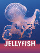 Book cover of: Jellyfish. By: Jaclyn Jaycox