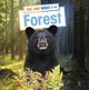 Book cover of: Day and Night in the Forest. By: Ellen Labrecque