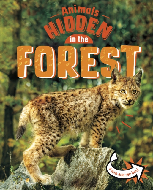 Book cover of: Animals Hidden in the Forest. By: Jessica Rusick
