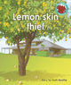 Book cover of: Lemon skin thief. By: Kath Beattie