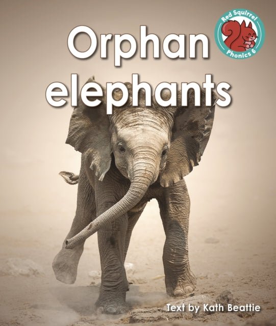 Book cover of: Orphan elephants. By: Kath Beattie