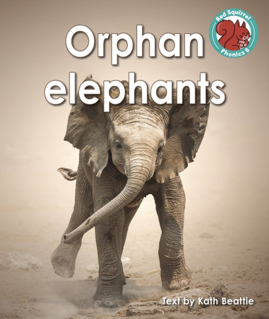 Book cover of: Orphan elephants. By: Kath Beattie