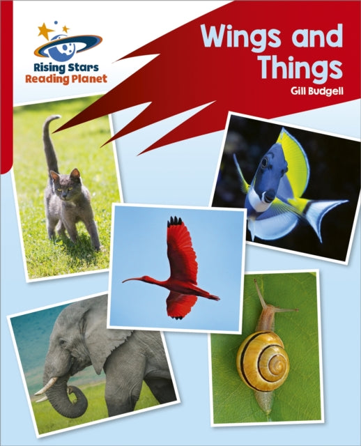 Book cover of: Reading Planet: Rocket Phonics – Target Practice – Wings and Things – Red B. By: Abigail Steel