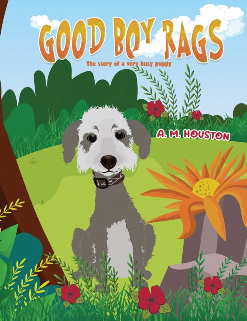 Book cover of: Good Boy Rags. By: A. M. Houston