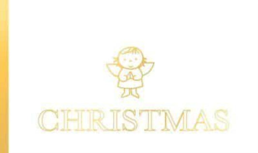 Christmas, A perfect introduction to the nativity story 9781398521322 Dick Bruna