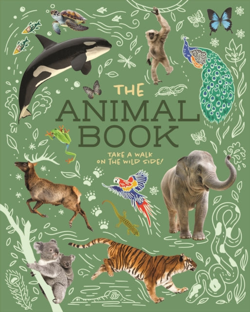 Book cover of: Animal Book. By: Michael Leach