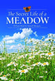 Book cover of: Secret Life of a Meadow. By: Wilson Wall