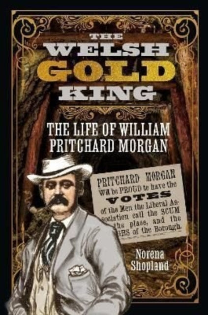 Book cover of: Welsh Gold King. By: Norena Shopland