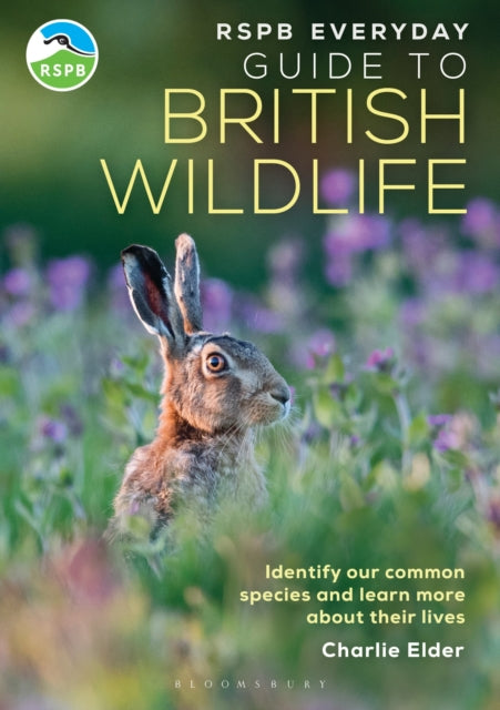 RSPB Everyday Guide to British Wildlife, Identify our common species and learn more about their lives 9781399413329 Charlie Elder