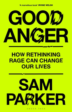 Good Anger, How Rethinking Rage Can Change Our Lives