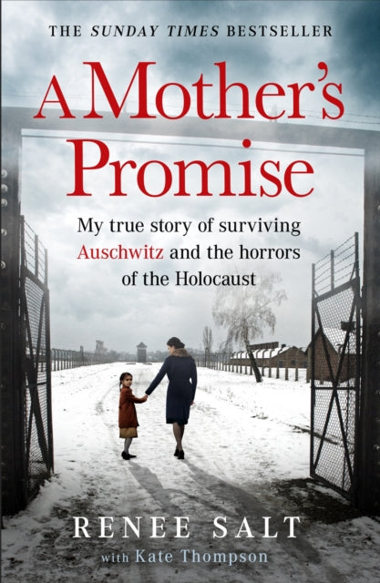 Book cover of: Mother's Promise