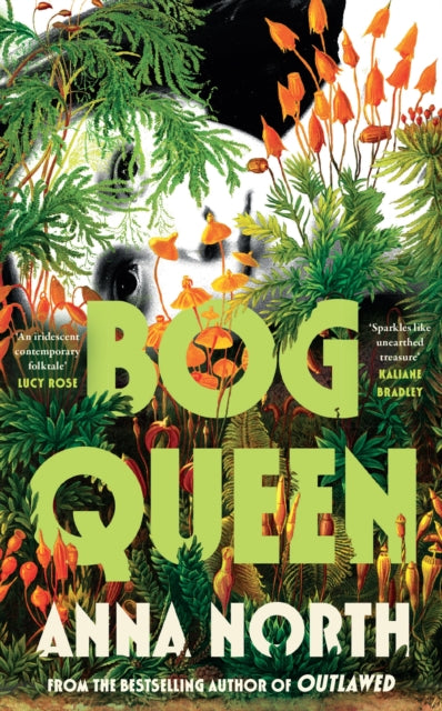 Bog Queen 9781399629942 Anna North