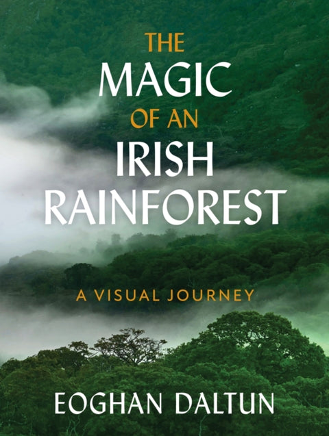 Magic of an Irish Rainforest, A Visual Journey
