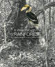 Book cover of: Walk Through the Rainforest. By: Martin Jenkins