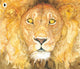 Lion and the Mouse 9781406332049 Jerry Pinkney