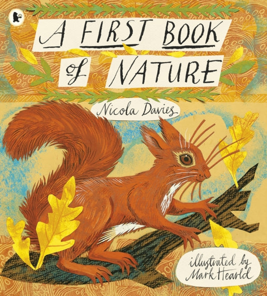 First Book of Nature 9781406349160 Nicola Davies