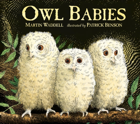 Owl Babies 9781406374377 Martin Waddell