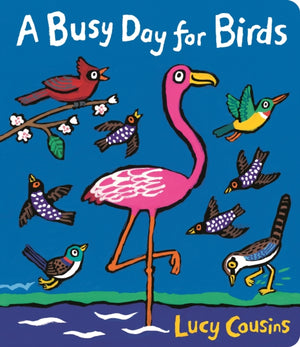 Busy Day for Birds