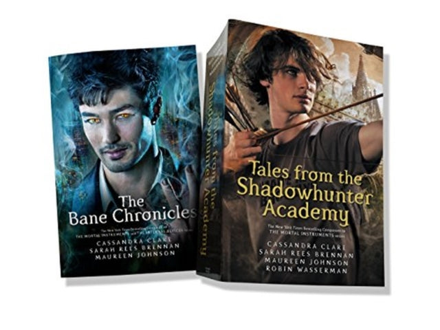 Book cover of: Shadowhunters Slipcase