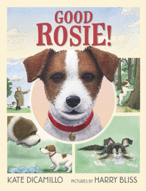 Book cover of: Good Rosie!. By: Kate DiCamillo