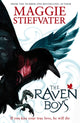 Book cover of: Raven Boys