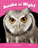 Book cover of: Level 2: Awake at Night CLIL. By: Laura Miller