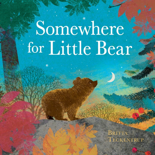 Book cover of: Somewhere for Little Bear. By: Britta Teckentrup