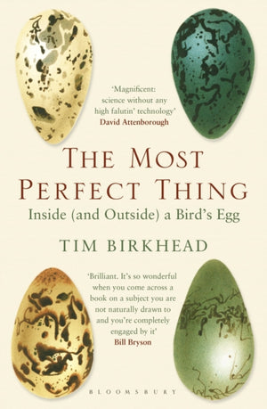 Most Perfect Thing, Inside (and Outside) a Bird’s Egg