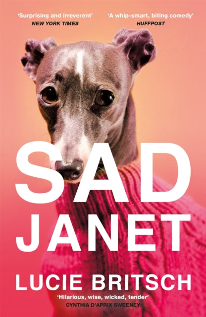 Book cover of: Sad Janet. By: Lucie Britsch