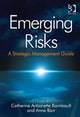 Book cover of: Emerging Risks. By: Catherine Raimbault