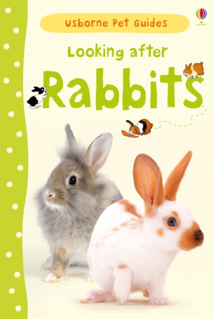 Book cover of: Looking after Rabbits. By: Fiona Patchett
