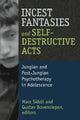 Book cover of: Incest Fantasies and Self-Destructive Acts. By: Mara Sidoli