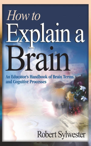 How to Explain a Brain