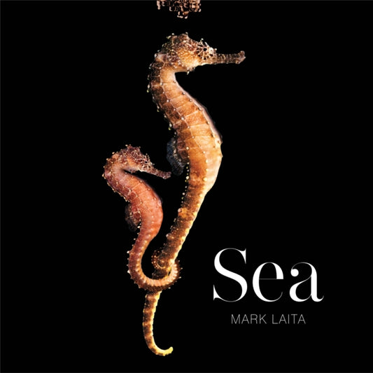Book cover of: Sea. By: Mark Laita