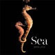 Book cover of: Sea. By: Mark Laita