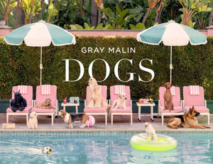Gray Malin: Dogs, Photographs