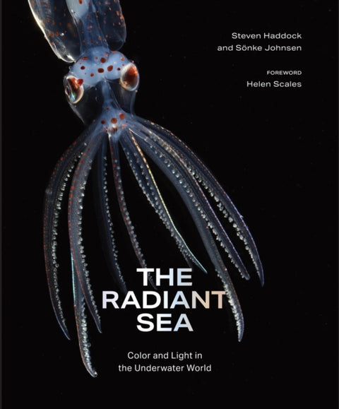 The Radiant Sea