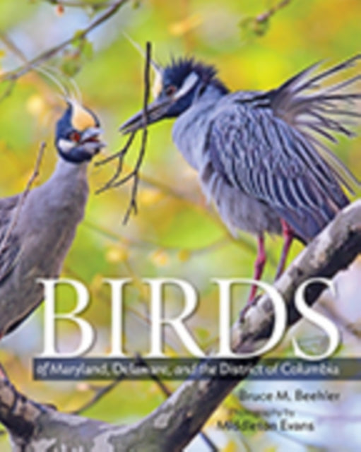 Book cover of: Birds of Maryland, Delaware, and the District of Columbia. By: Bruce M. Beehler