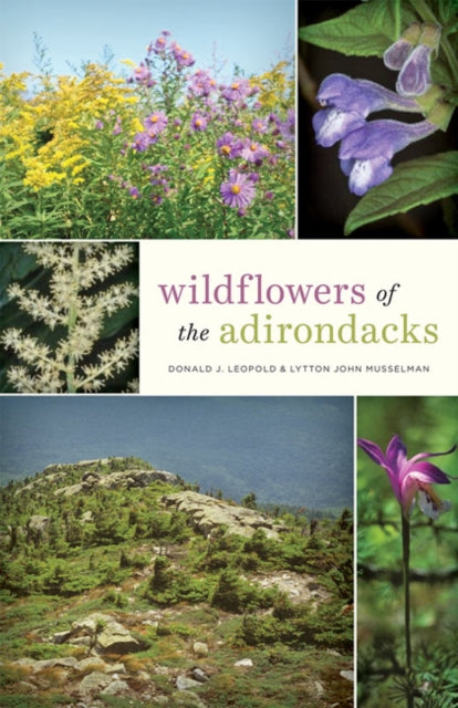 Book cover of: Wildflowers of the Adirondacks. By: Donald J. Leopold