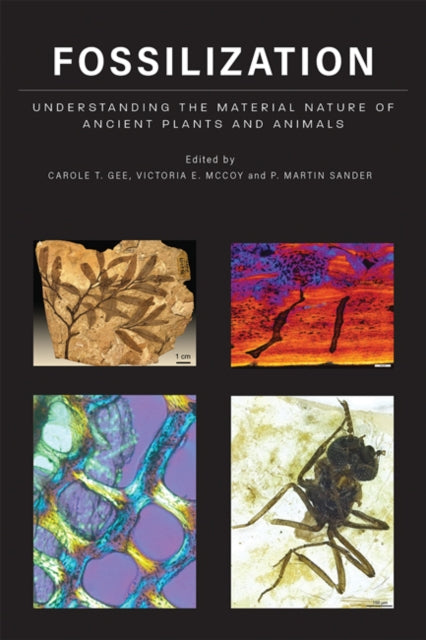 Book cover of: Fossilization. By: Carole T. Gee