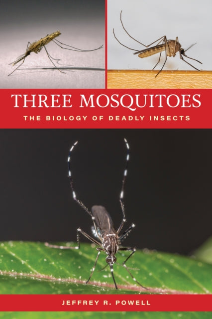 Book cover of: Three Mosquitoes. By: Jeffrey R. Powell